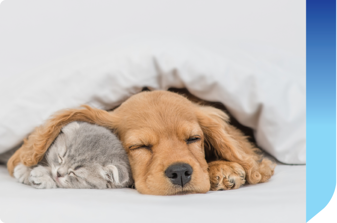 Central Heating Servicing Grayshott